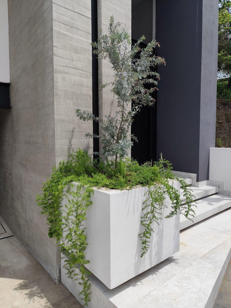 Paisajismo en edificios corporativos