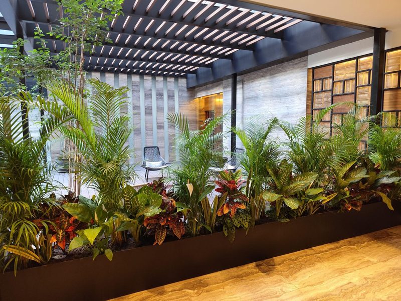 Mano Verde en Instagram