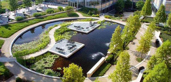 Mano Verde en Instagram